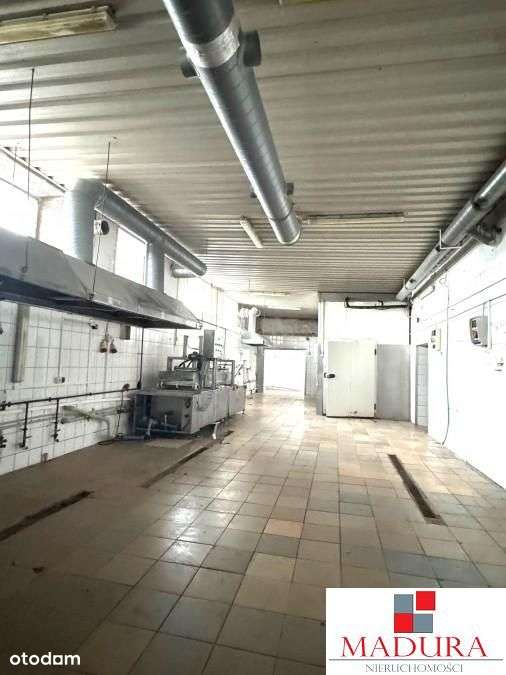 Hala magazynowo - biurowa 350m2 - Pełny obrazek: 4/10