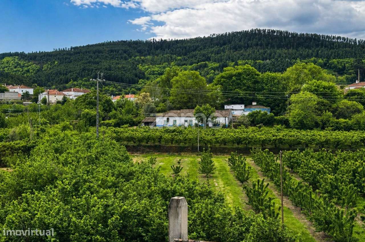 QUINTA no ALCAIDE – FUNDÃO-9