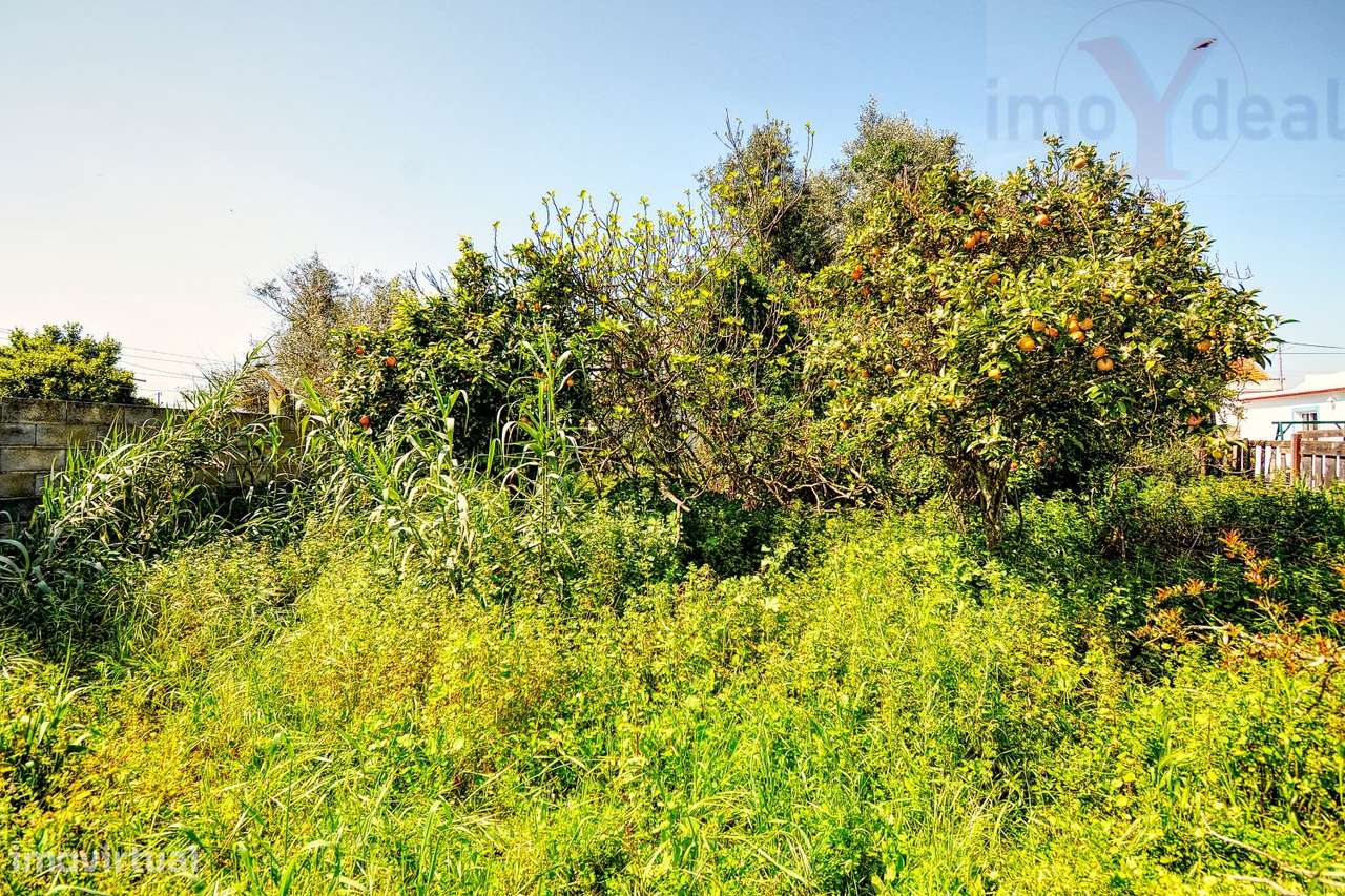 Terreno em Ermidas Sado-7