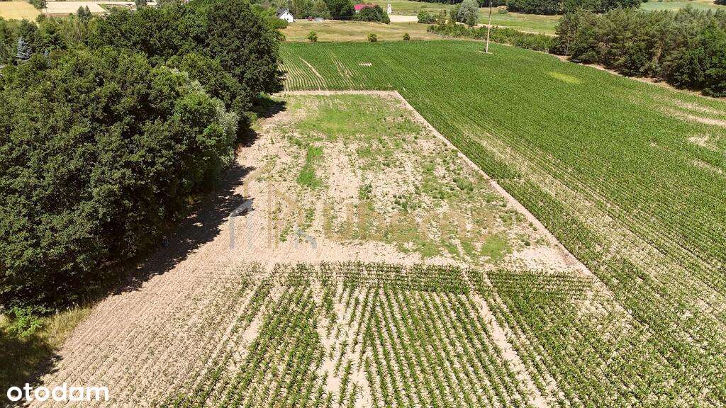 Działka z W.Zabudowy w Radzanku –Gm.Maszewo - Pełny obrazek: 4/20