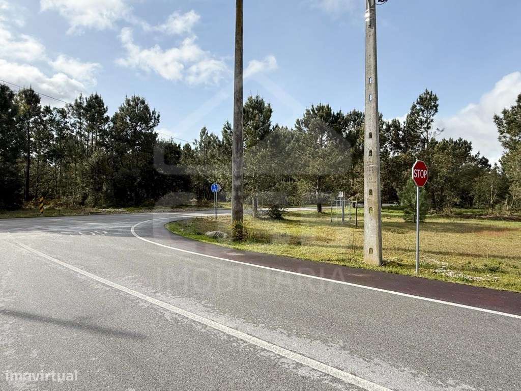 Oportunidade - 5 ha | Zona Industrial Salvaterra de Magos-6