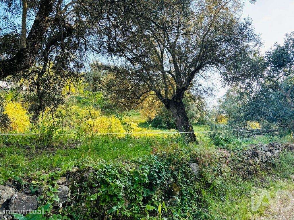 Terreno em Paderne de 3280,00 m2 - Grande imagem: 5/14