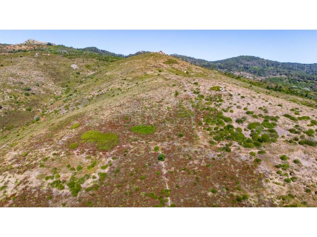Terreno Rústico à Venda - Fontainhas, Alcabideche (Cascais)-20