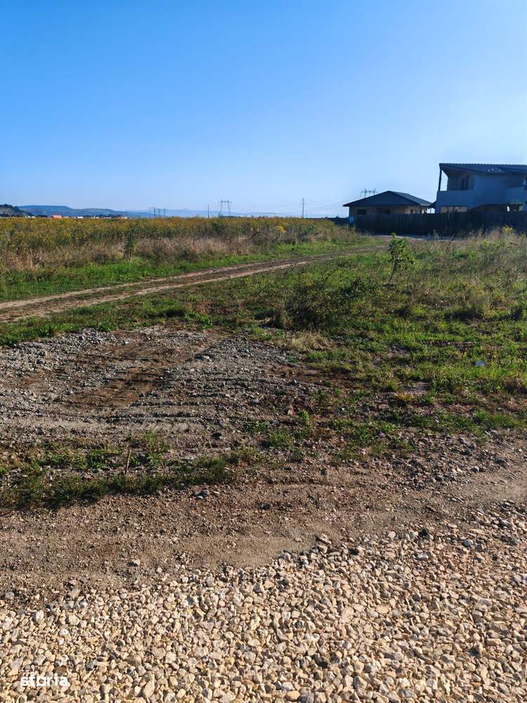 Teren Intravilan de vanzare - Imagine principală: 4/4