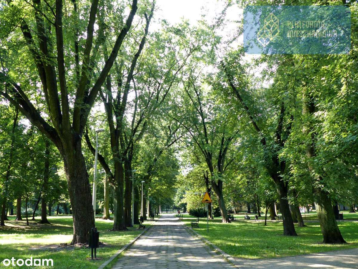 Rodzinny komfort w parkowej scenerii-3