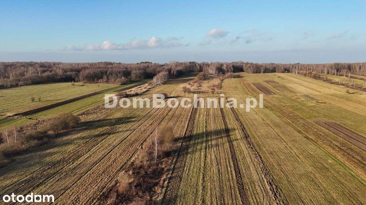 Jodłówka działka budowlana lokata w ziemi-8