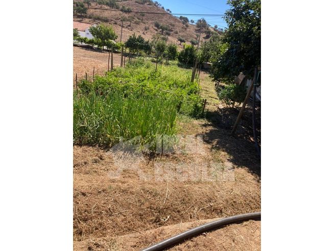 T3 ODEMIRA 379 000€.
MONTE ALENTEJANO ..-24