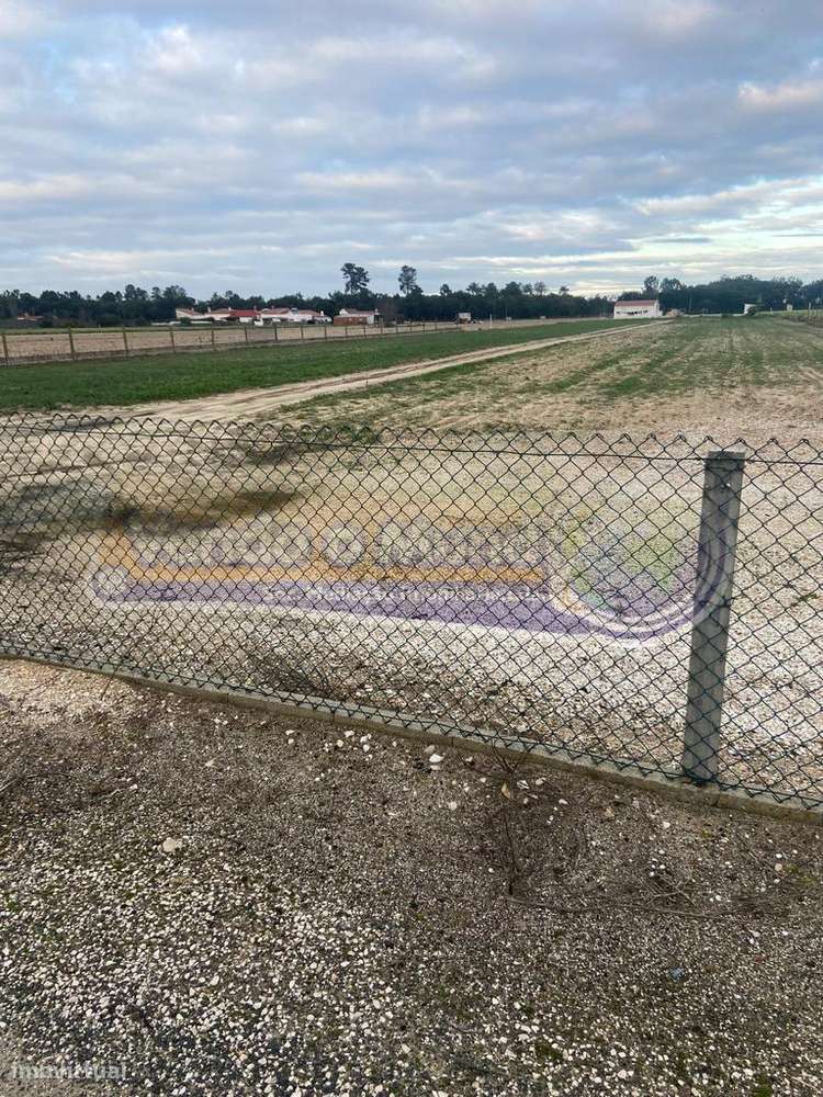 Terreno em Foros de Salvaterra (F798) - Grande imagem: 2/4