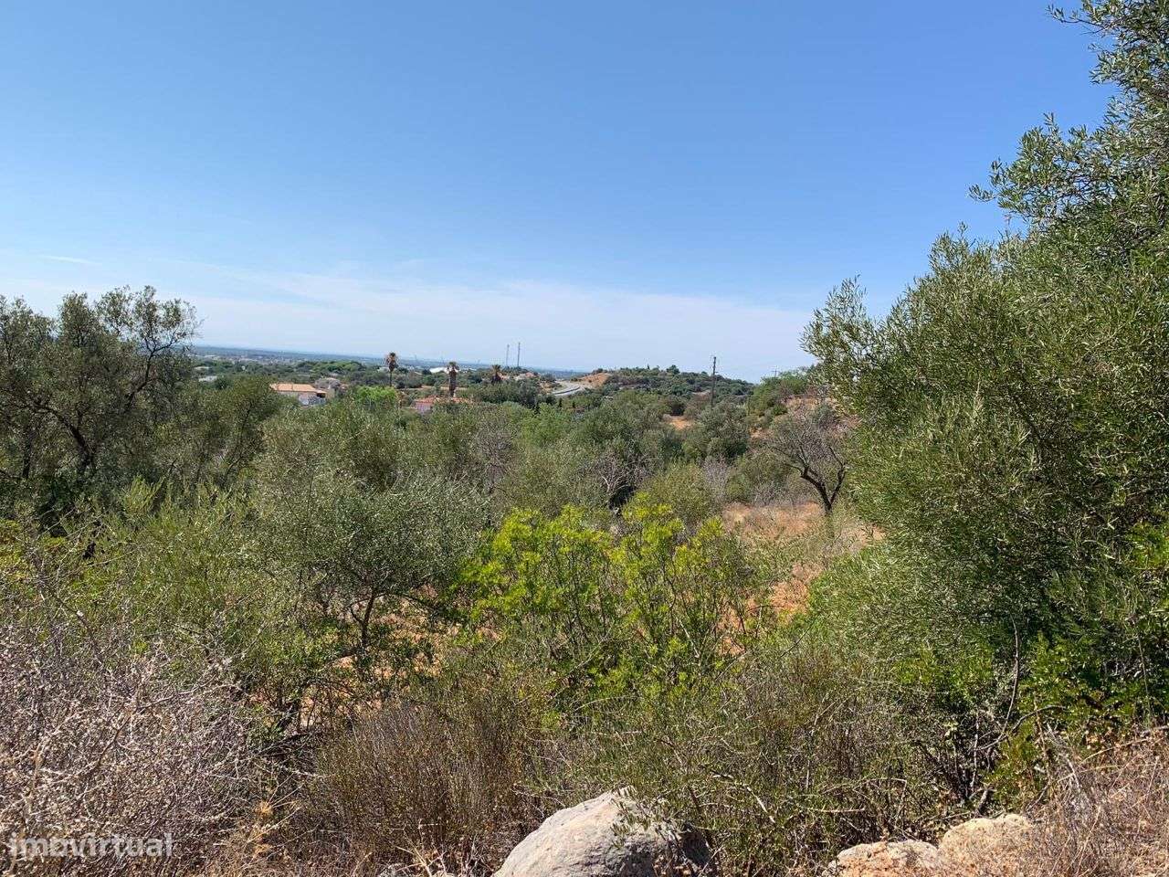 Terreno Urbano, com 3 artigos, Colmeal-21