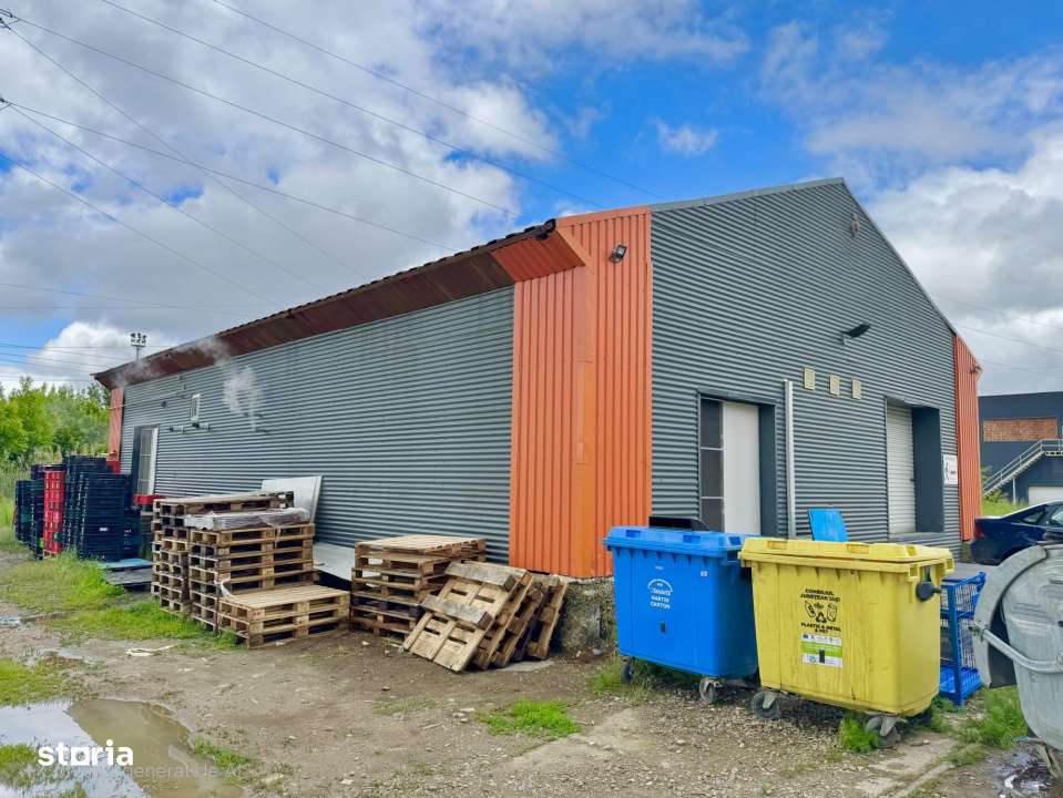 Inchiriere Spatiu industrial/HALA – 234 mp , Calea Chisinaului - Imagine principală: 2/2