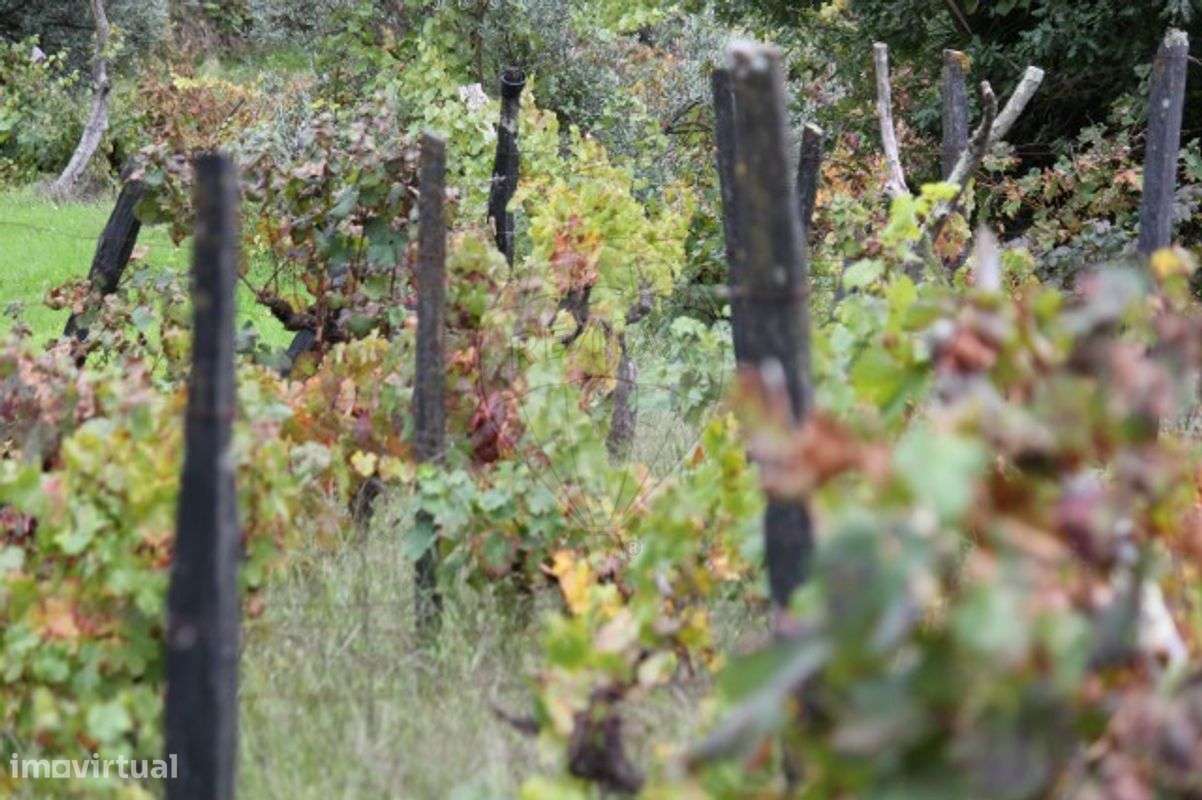 Terreno  para venda - Grande imagem: 5/28