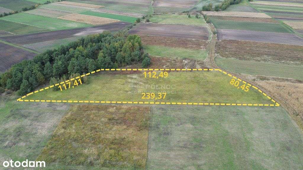 Tarnobrzeg Sobów | Działka rolna 1,31 ha - Pełny obrazek: 3/3