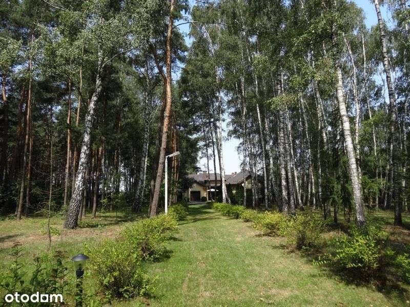 Sprzedam całoroczny dom z działką w Sokolnikach - Widok 4