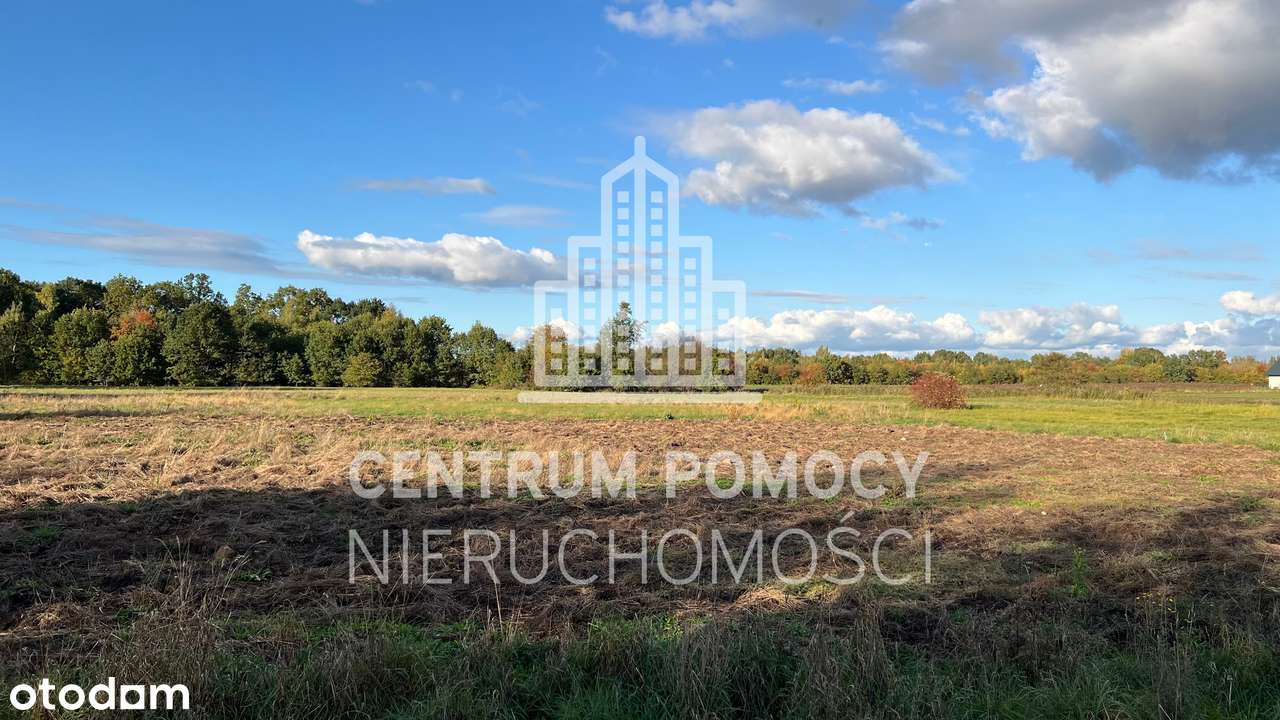 Działki blisko Grodziska - spokojna okolica - Pełny obrazek: 3/5