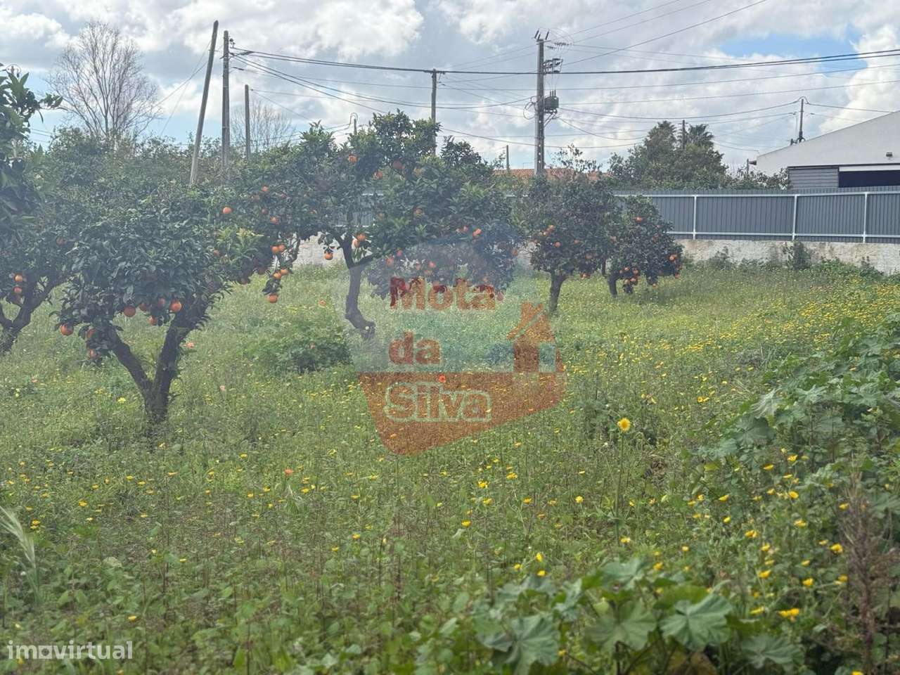 Excelente terreno urbano, com 7415 m2, na Quinta do Anjo, Palmela - Grande imagem: 4/4