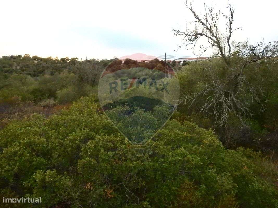 Terreno  para venda - Grande imagem: 2/5