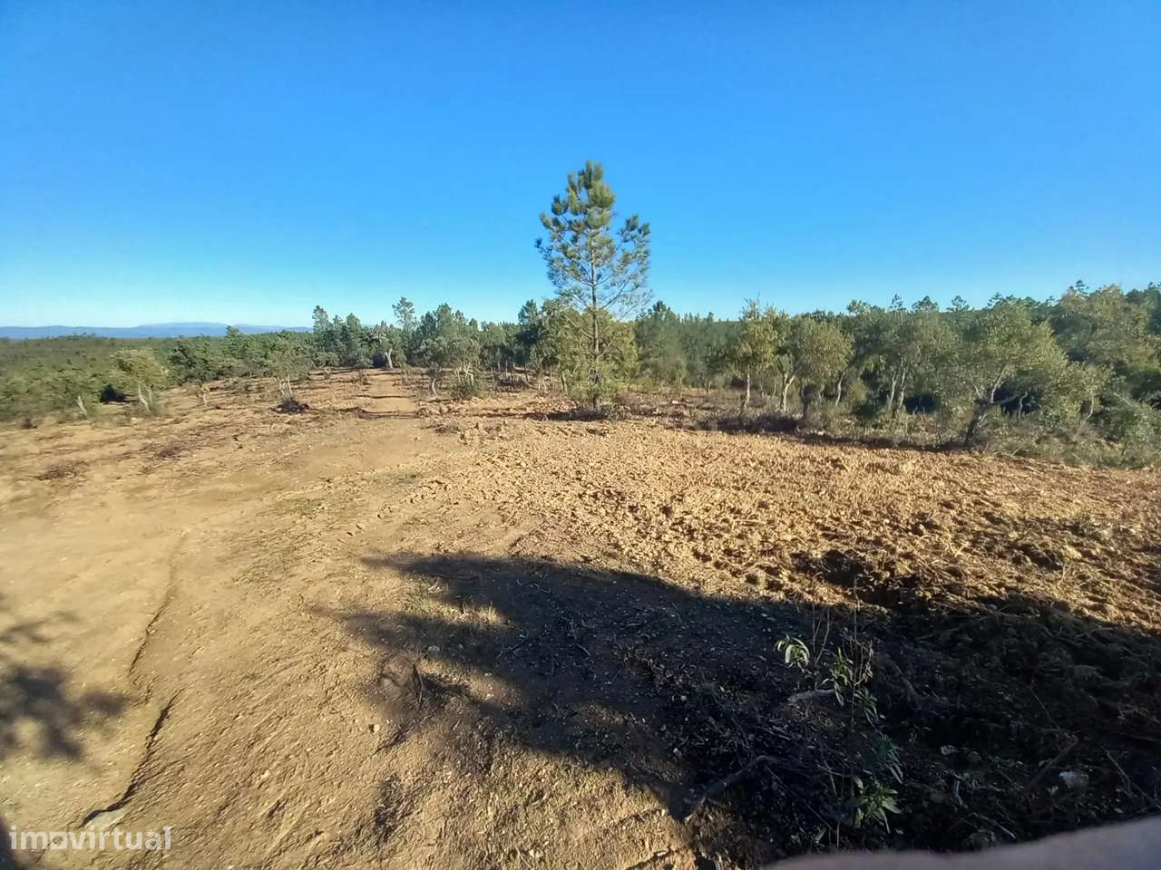 Terreno rustico com 16940m2-Sarnadas de Rodão - Grande imagem: 2/17