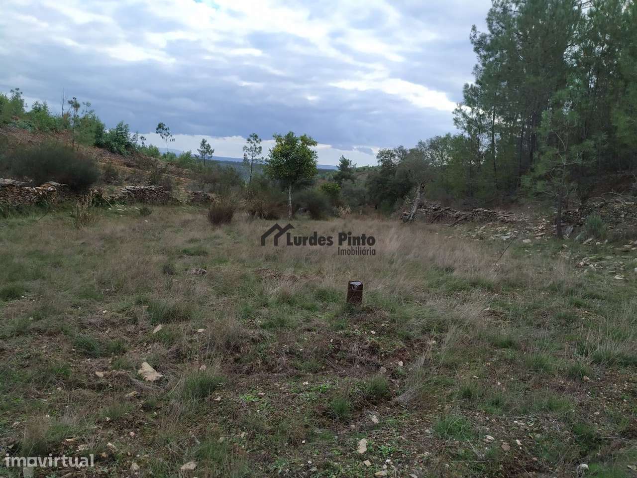 Quinta com muita água - Grande imagem: 2/20