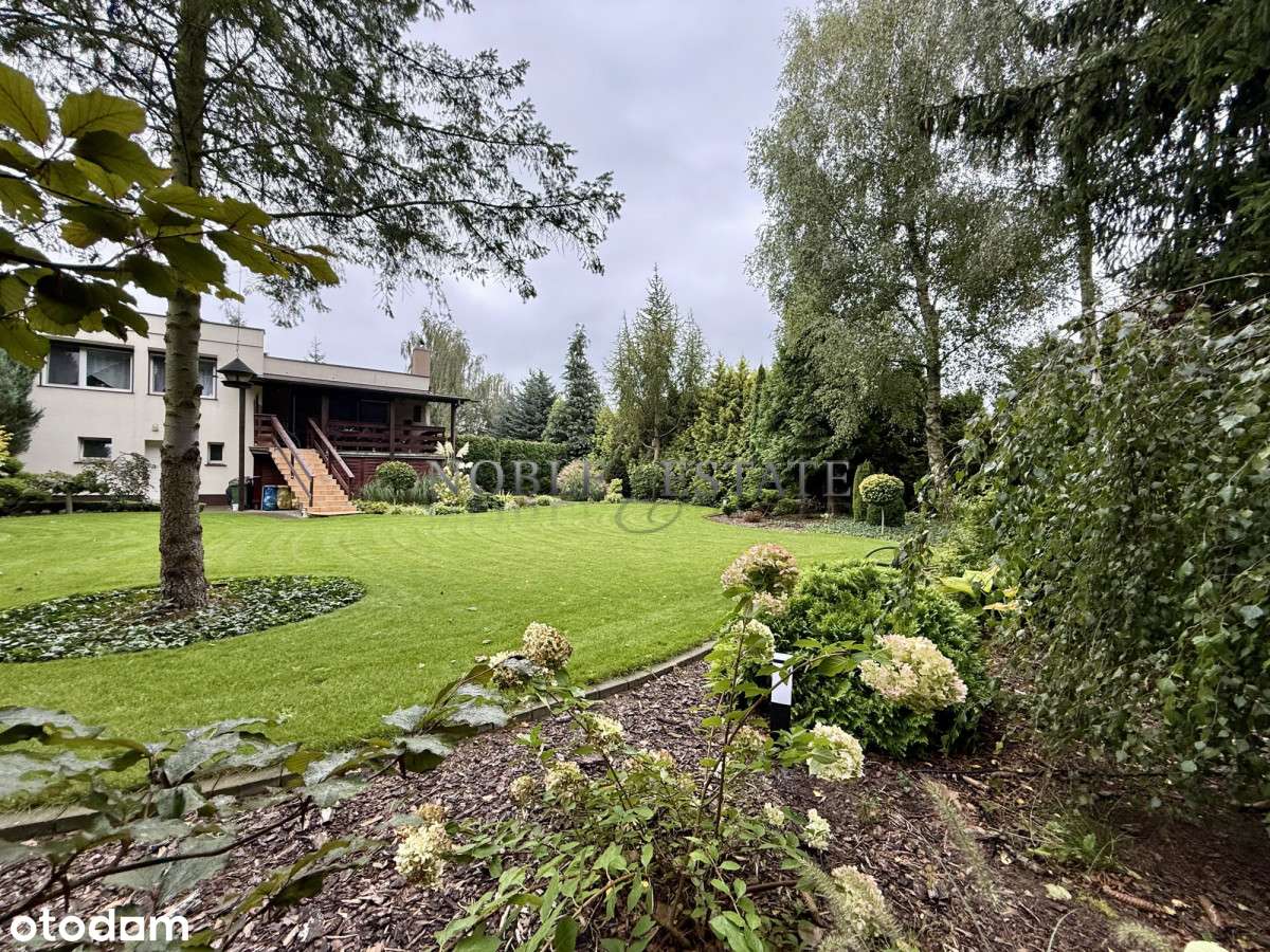 Cudowny ogród pod ścianą lasu-13