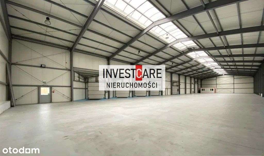 Nowe magazyny. Moduły od 500 mkw. Wysokość 8m. - Pełny obrazek: 2/3