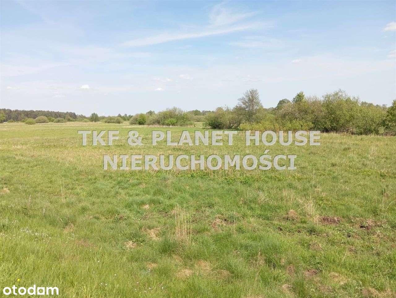 Działka rolna 11 000 m2. Wola Załężna gm. Opoczno - Pełny obrazek: 4/4