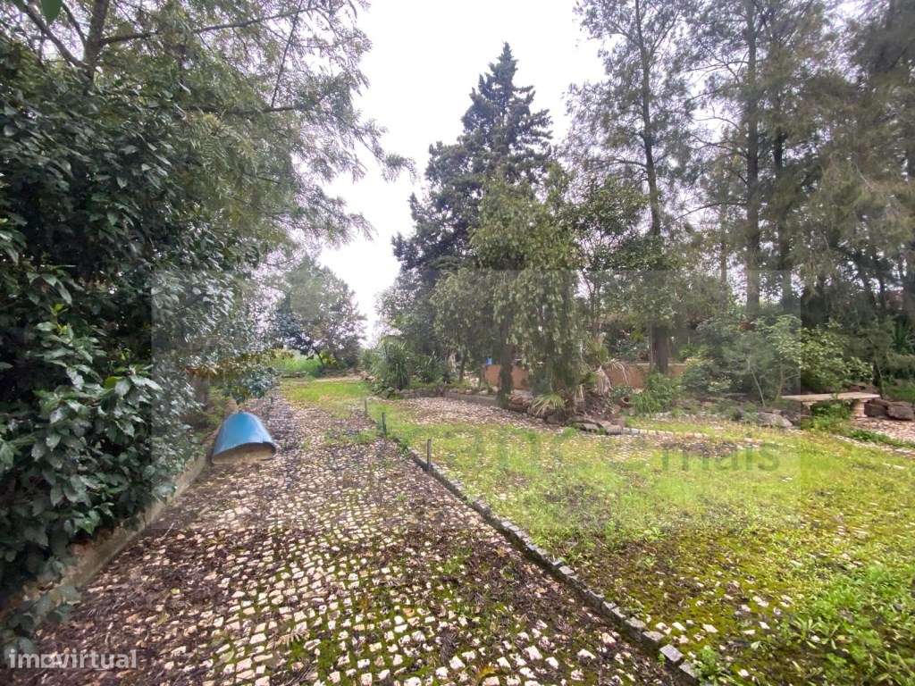 Quintinha de charme com 1,7 ha, capela privada e abundância de água...-14