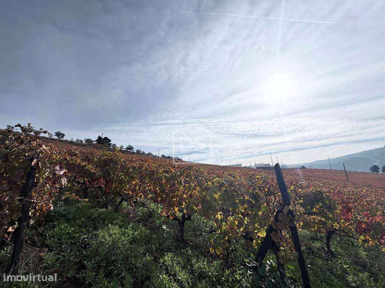 Quinta T4 Venda em Fontelas,Peso da Régua-27