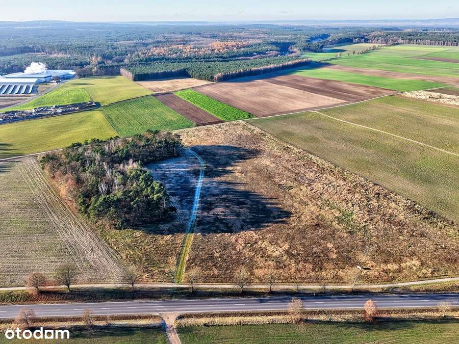 Działka budowlana przy lesie - Margonin-6