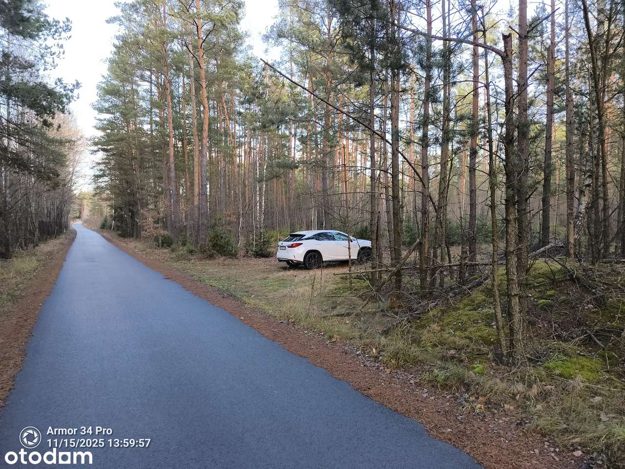 Leśniczówka Unikalne niespotykane miejsce w Europie  w Puszczy Białow.-16