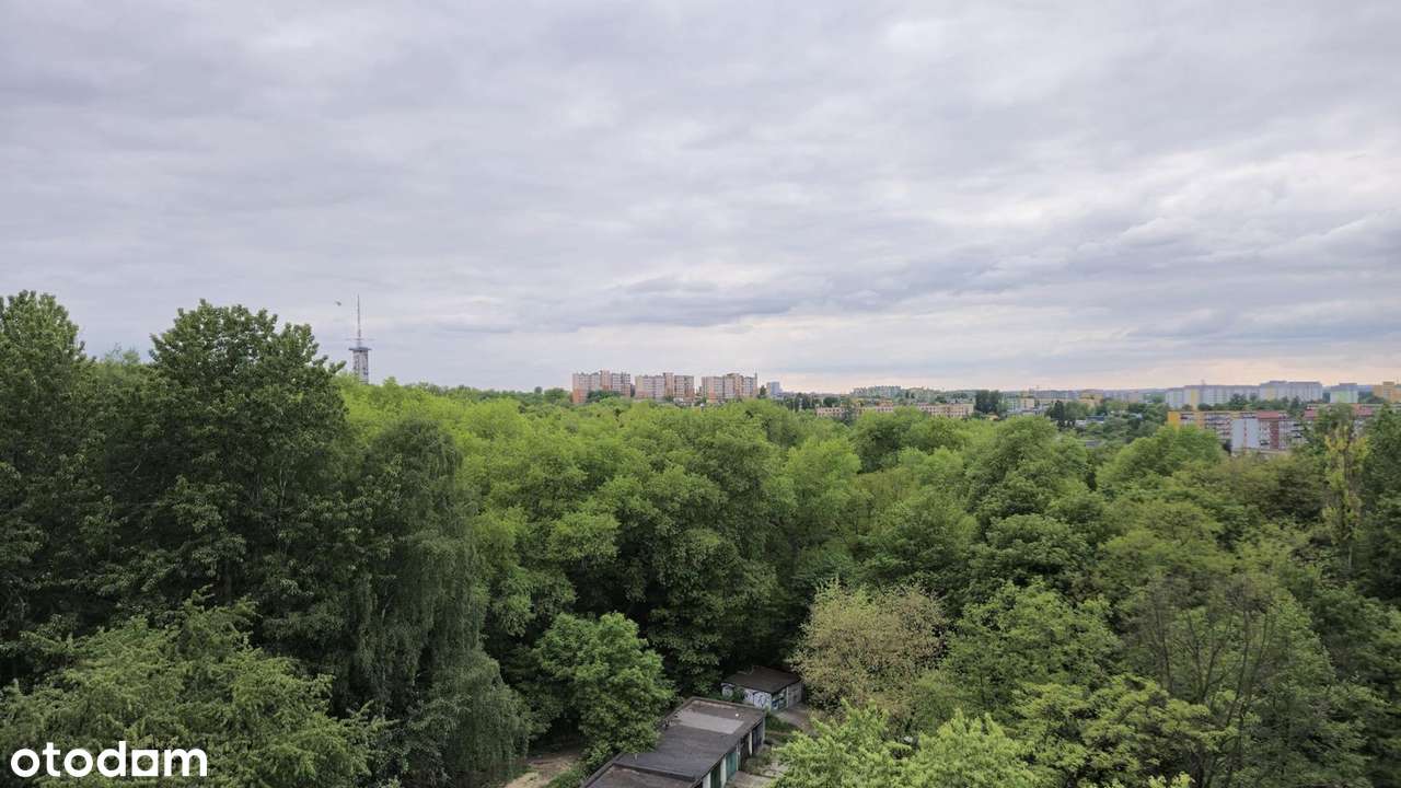 Trzy pokoje z pięknym widokiem na Bytków.-12