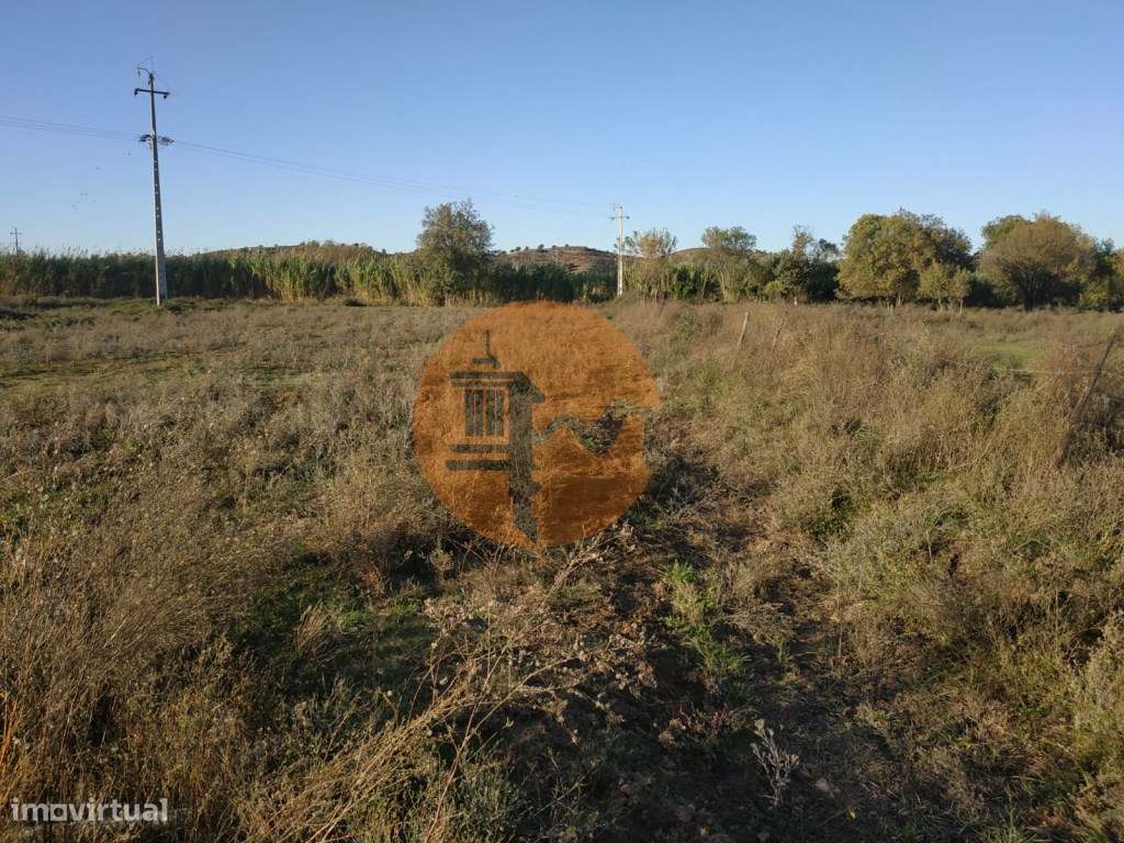 TERRENO COM RUINA - 4.960 M2 - COM NORA - ÁGUA DA BARRAGEM NA JUNQU...-3