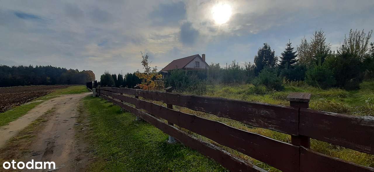 Małgorzatka. Piękna działka w pobliżu Jeziora Bachotek-4