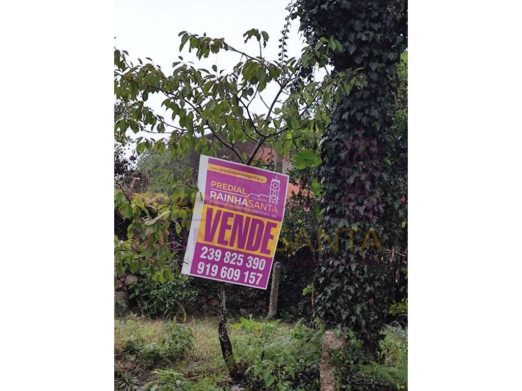 3 terrenos rústicos na totalidade tem 3628 m2 - Grande imagem: 2/14