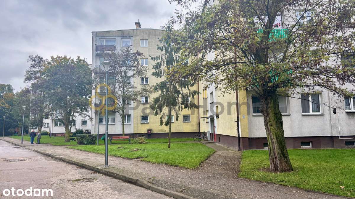 Mieszkanie 3 pokoje os. Kopernika - Pełny obrazek: 1/10