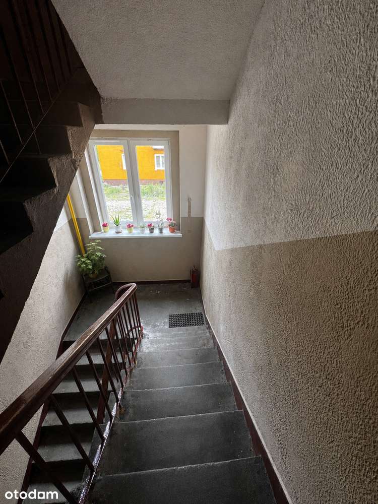 Dwa pokoje, oddzielna kuchnia-5