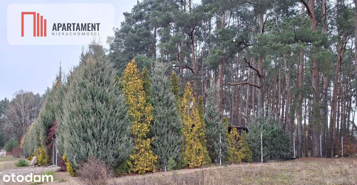 Działka 660 m² z domkiem 16 m², 500 m od jeziora-9