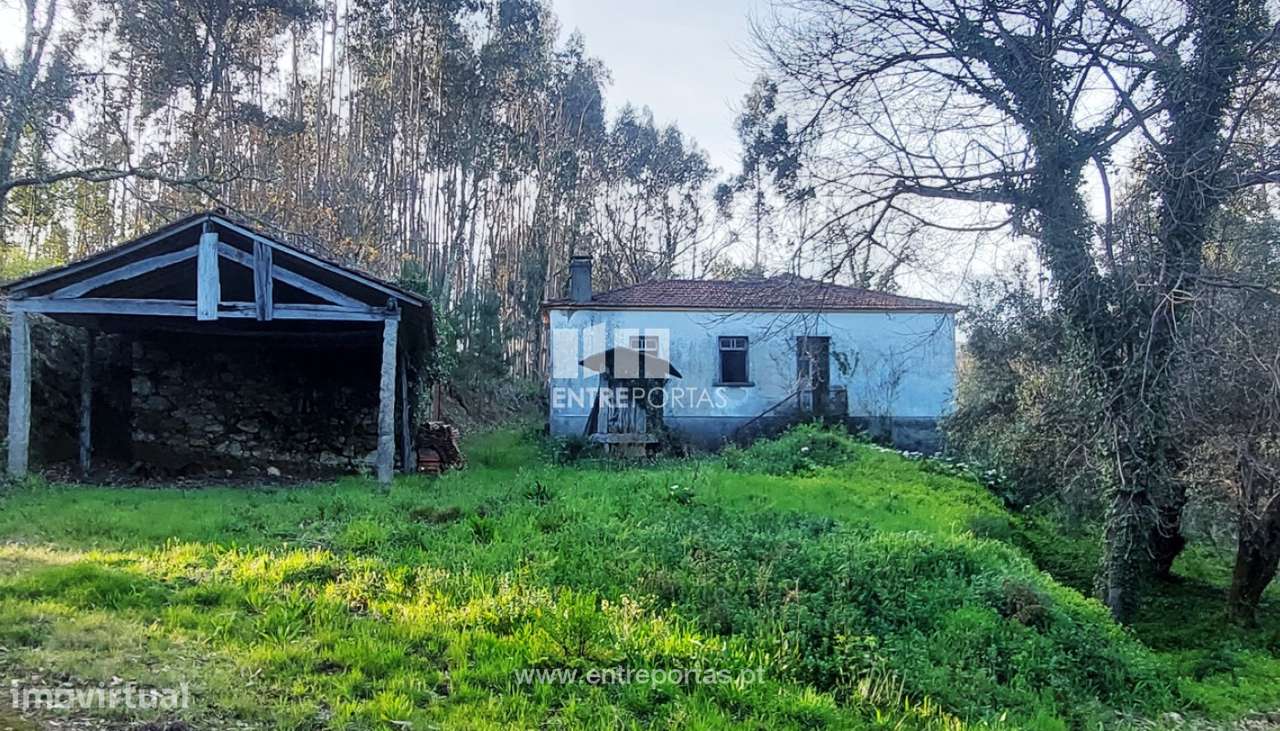 Venda de Quinta, Meixedo, Viana do Castelo - Grande imagem: 2/30