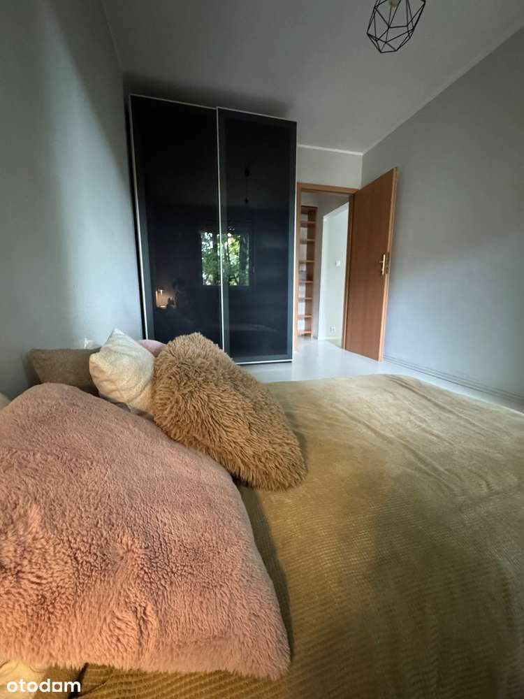 Nowość, Szamarzewskiego 2 pokoje-2