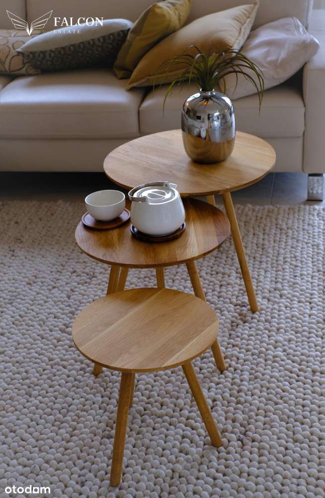 3 pokoje z tarasem, niska zabudowa w Poznaniu-0