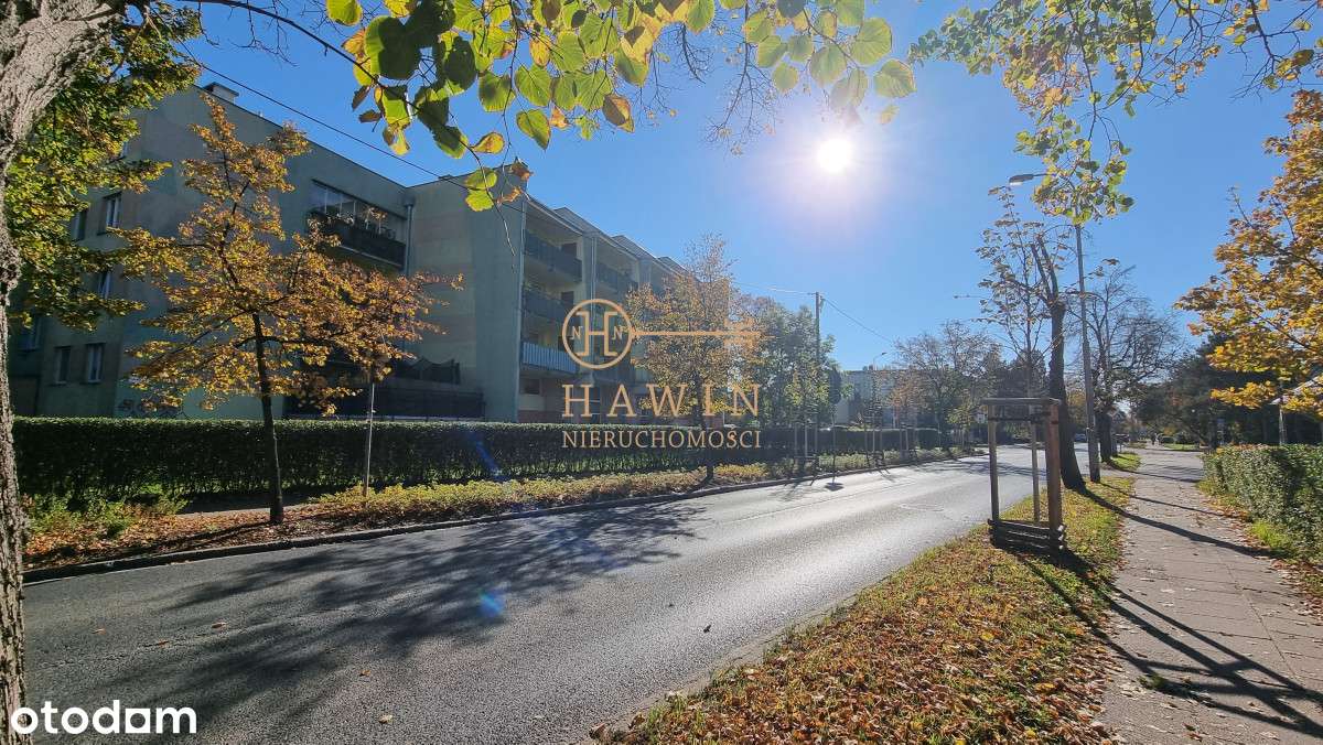 Rozkładowe 2 pok Park Południowy/ Pętla Krzyki-11