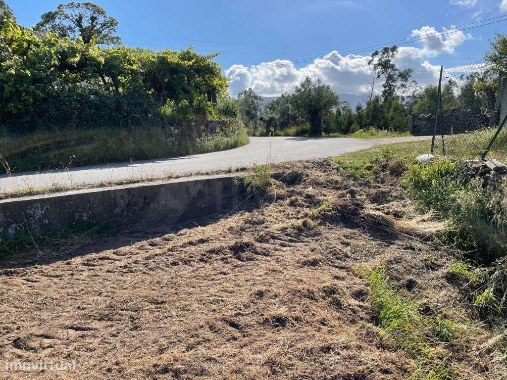Terreno em Moreira do Lima. - Grande imagem: 4/4
