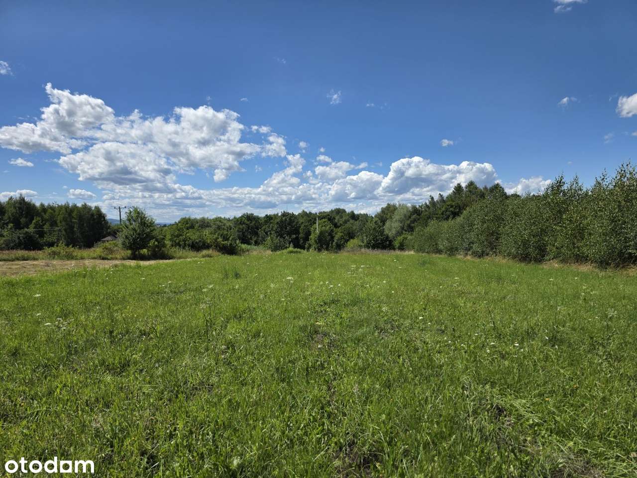 DZIAŁKA W SPOKOJNYM MIEJSCU Z ŁADNYM WIDOKIEM!!!-16