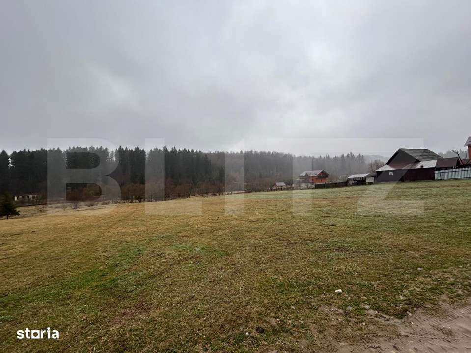 Teren extravilan , 4150 mp , zona de cabane Paltinoasa Suceava - Imagine principală: 2/2