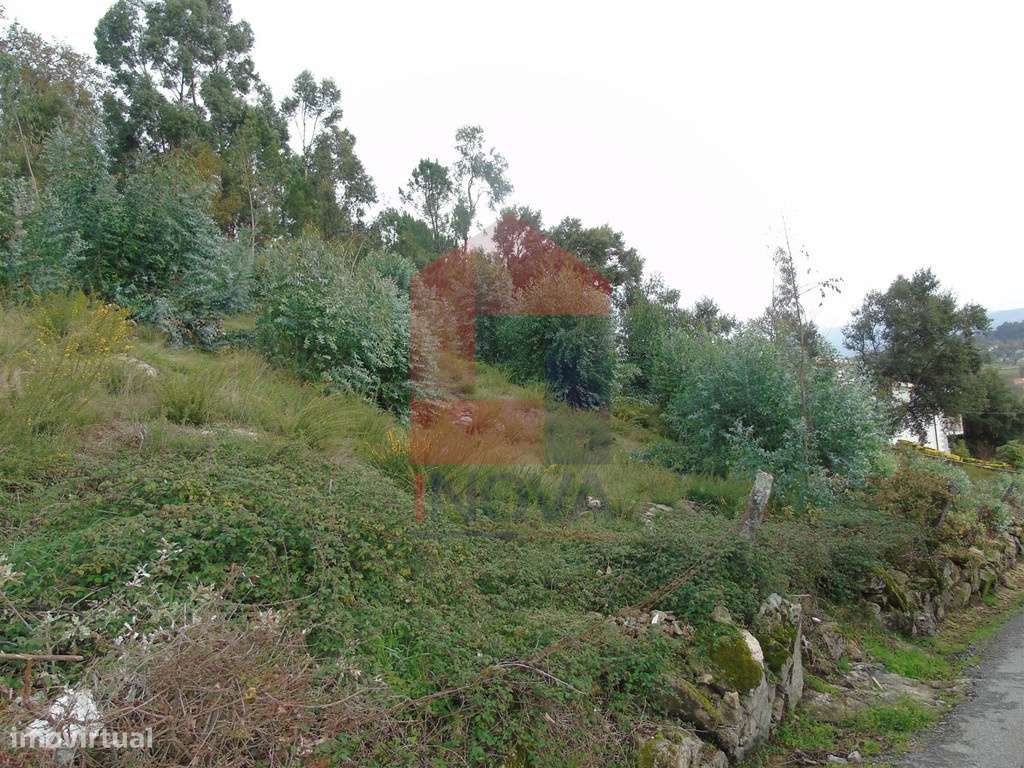 Terreno para construção, Nevogilde - Grande imagem: 5/8