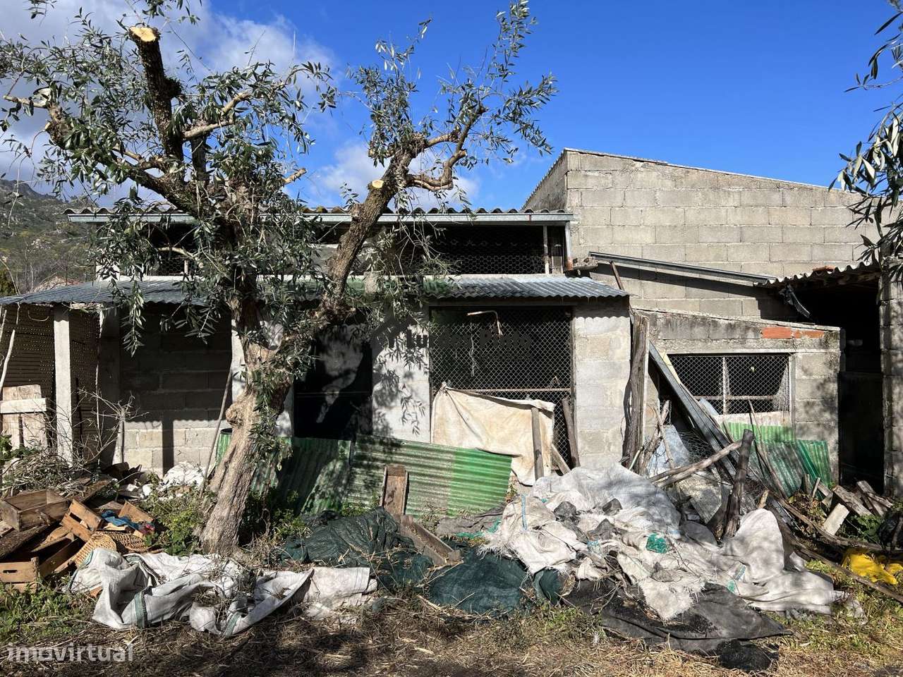 Quinta com vista para a serra - Grande imagem: 3/18