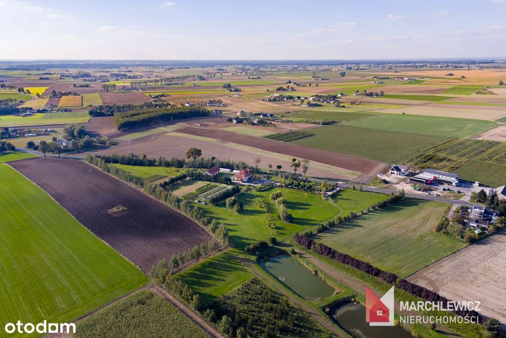 Dom na sprzedaż | winnica | stawy | gaj figowy-18