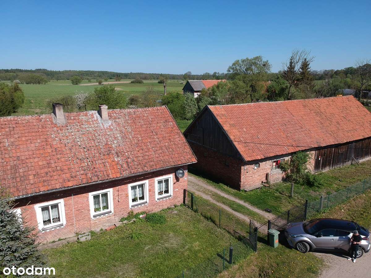 Dom - Włóczyska, gmina Młynary - Pełny obrazek: 5/19