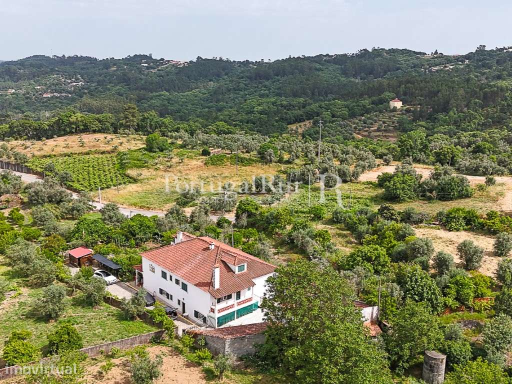 Quinta com Moradia T6 junto ao Grande Lago de Castelo de Bode - Grande imagem: 4/47