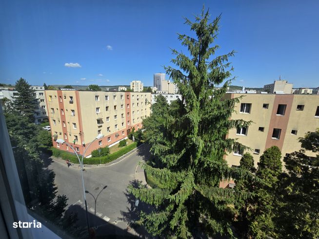 Apartament de doua camere pe Aleea Garbau-9