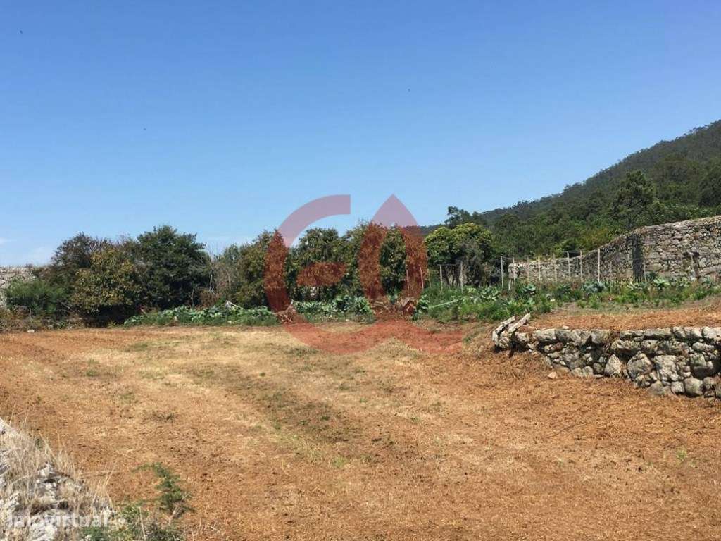 Quintinha - Terreno Construção - Carreço - Vistas Mar - Grande imagem: 4/11